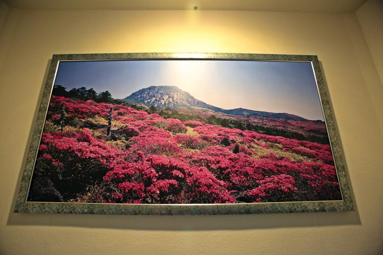 Champion Hotel Jeju Luaran gambar